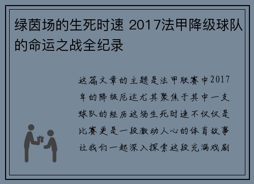 绿茵场的生死时速 2017法甲降级球队的命运之战全纪录